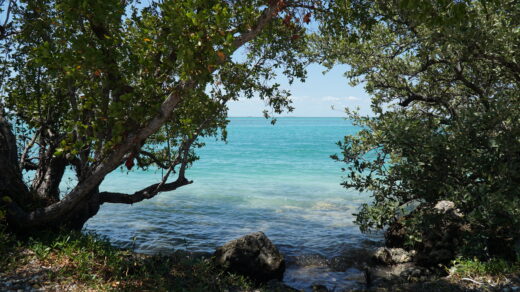 Blick auf das den Highway US-1 umgebende Wasser