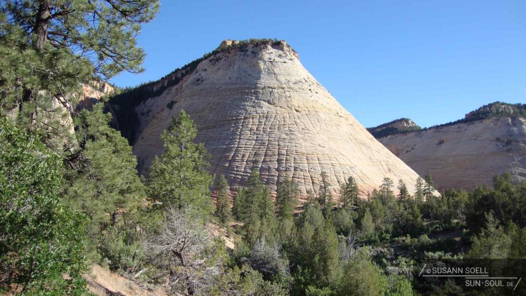 Der helle Sandstein des Checkerboard Mesa präsentiert sich als imposantes Kunstwerk der Natur: Wind und Wetter haben tiefe Erosionslinien in die Felswand graviert, sodass sie inzwischen wie ein riesiges Schachbrett aussieht.